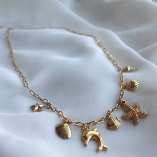 Costa Charm Necklace